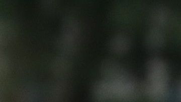 El teniente coronel Alexander Vindman fue uno de los testigos del juicio político.