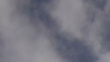 Los responsables del parque informaron de su decisión a los funcionarios locales y estatales de Orlando.