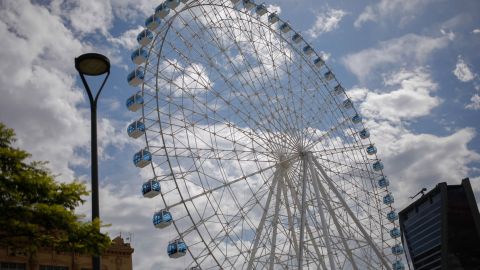 Los responsables del parque informaron de su decisión a los funcionarios locales y estatales de Orlando.