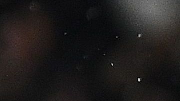 El cuadro parisino nunca ha contado con Neymar días después de su festejo de cumpleaños.