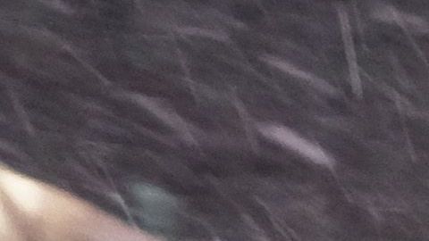 Un sistema de tormentas recorrerá el norte de EEUU.