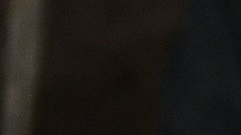 Trump en su discurso sobre el Estado de la Unión 2020.