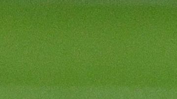 El defensor de los Leones firmó el autogol más inaudito del año.