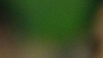 Los seguidores del equipo de Los Ángeles tuvieron un comportamiento ejemplar.