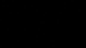 Bernie Sanders celebra su victoria en Nevada.