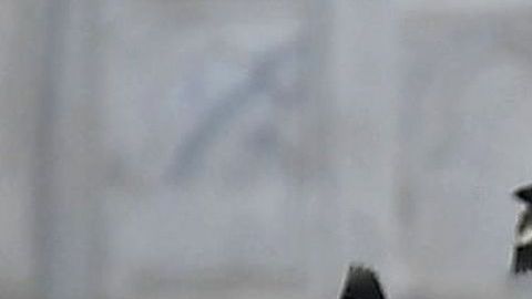 La pareja presidencial tuvo una sesión de fotos frente al Taj Mahal.