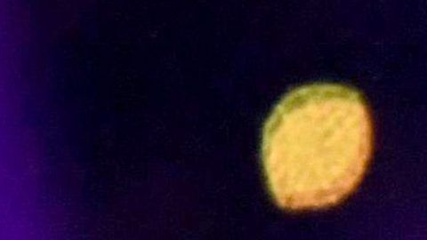 Shakira y Jennifer López.