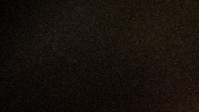 Joe Biden ganó las elecciones en Carolina del Sur.