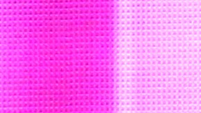 De izq. a dcha., Kaitlyn Dever, Olivia Wilde y Beanie Feldstein.