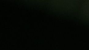 Bernie Sanders celebra con sus seguidores en Manchester, New Hampshire.