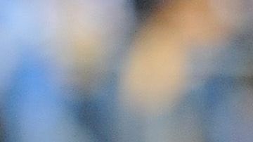 Troy Polamalu, leyenda de los Steelers.