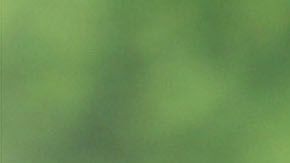 Ben Affleck y Jennifer López