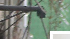 El grupo criminal pide al presidente mexicano que ponga orden en Iguala, Guerrero.