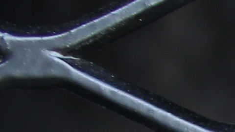 El menor se encuentra arrestado en un centro de detención en Dilley, Texas.