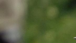 El FBI arrestó al mexicano, acusado de espionaje.