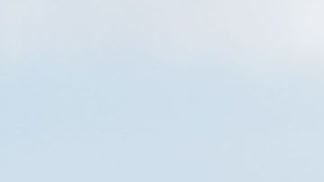 Un crucero partiendo del puerto de Miami.