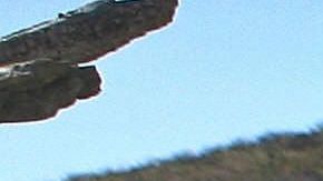 Un migrante en la frontera de Sásabe.