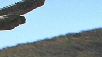 Un migrante en la frontera de Sásabe.