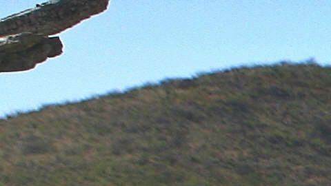 Un migrante en la frontera de Sásabe.