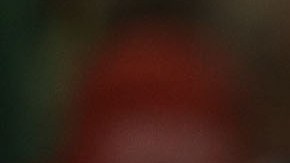 El presidente Trump acudió a Florida, donde también lideró un mitin.