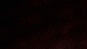 Puedes encontrar gran variedad de Prosecco.