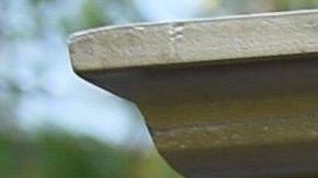 Trump el clarividente.