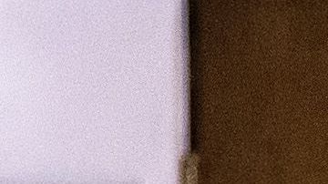 El abogado de Trump no tiene ningún cargo en su contra.