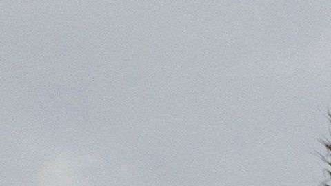 Servicios Secretos pagaría hasta $650 por noche en el club de Trump en Mar-a-Lago.