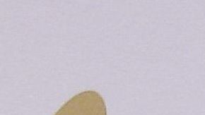 Kourtney Kardashian. Foto: Getty Images.