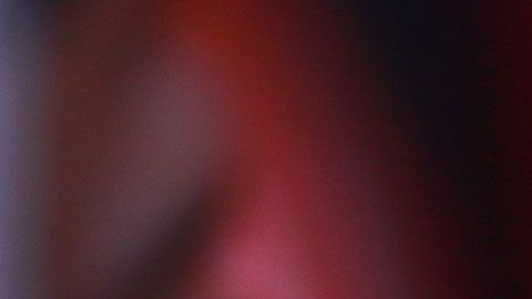 Almeyda consiguió 5 títulos con Chivas.