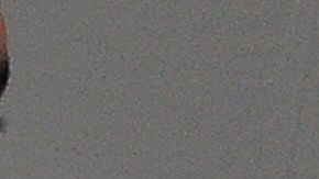 Luis ''Nica' Concepción (izq.) sacó el poder.