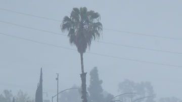 Lluvia en autopista de California.