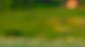 Los tratamientos de depuración natural son considerados uno de los mejores aliados de la salud.