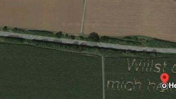 Una tía le dijo que había visto su propuesta en Google Maps.