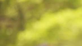 El último año ha mejorado casi 2% el índice de graduación de educación básica entre los menores hispanos.