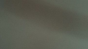 Las plantas permiten el flujo de energía positiva.