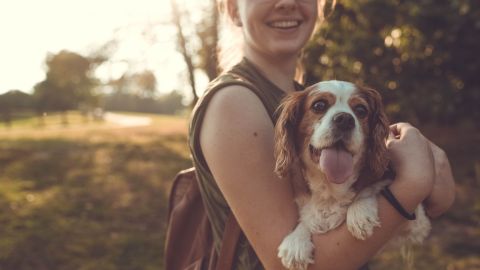 Guarderías para mascotas / Créditos: Fotógrafo  Sam Manns vía Unsplash