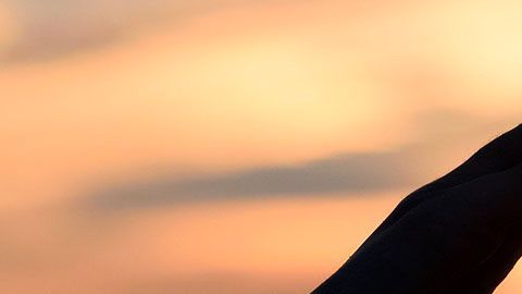 El hombre ha encontrado el éxito en los negocios, pero no en las cuestiones del amor.