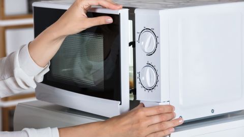 horno microondas-Andrey Popov-canva