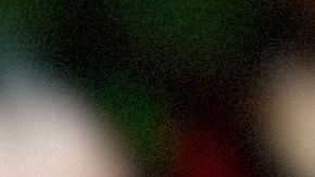 Un husky espera afuera del trabajo de su dueña durante ocho horas diariamente.