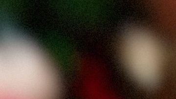 Un husky espera afuera del trabajo de su dueña durante ocho horas diariamente.