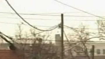 Los hechos ocurrieron esta mañana en Brooklyn.