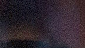 Almeyda y Pizarro se convirtieron en referentes de Chivas.