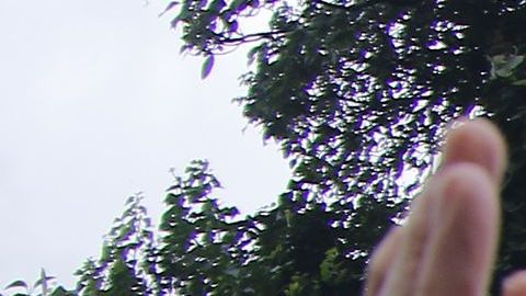 El VAR fue bien calificado.