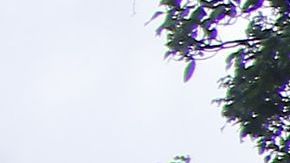 Arturo Brizio, presidente de la Comisión de Arbitraje, hace la última supervisión del VAR