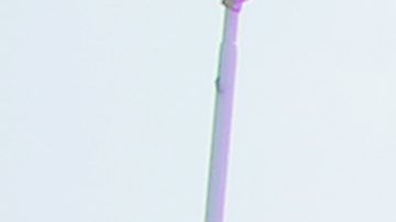 La novia le va a Pumas y el novio a las Chivas.