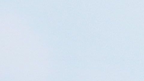 Nico Benedetti será baja durante todo el torneo.