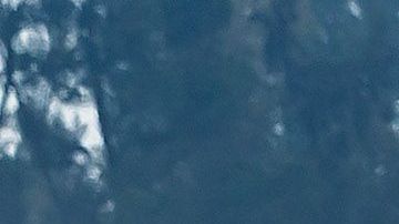 Djokovic, Fórmula 1