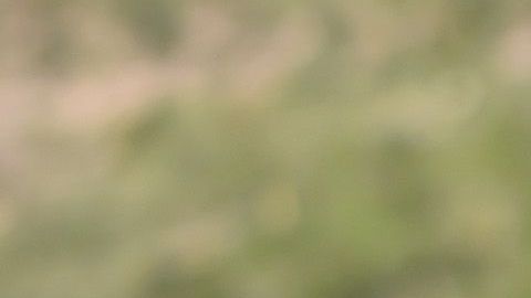 El zaguero disputará la Europa League este año.