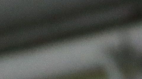 Damm podría llegar al fútbol estadounidense.